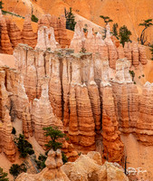 Zion and Bryce Canyons